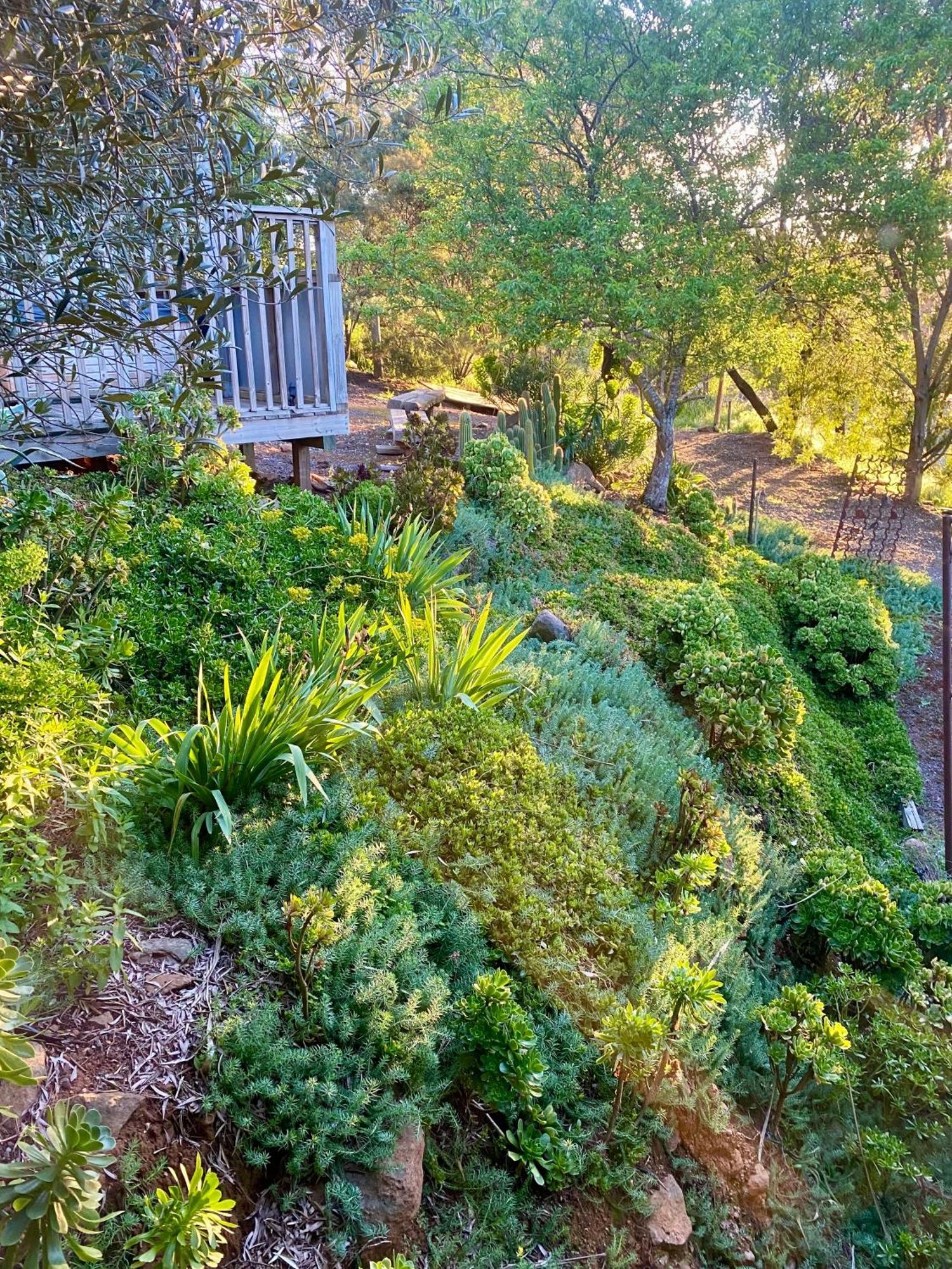 Sutton Spring Art Retreats Apartment Daylesford Room photo