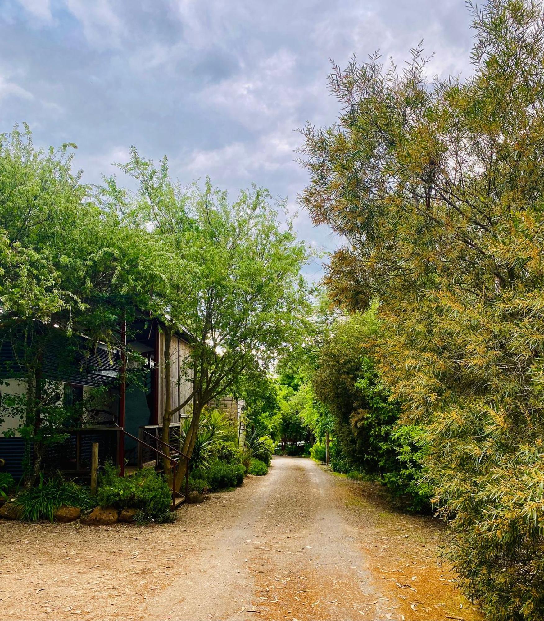Sutton Spring Art Retreats Apartment Daylesford Room photo
