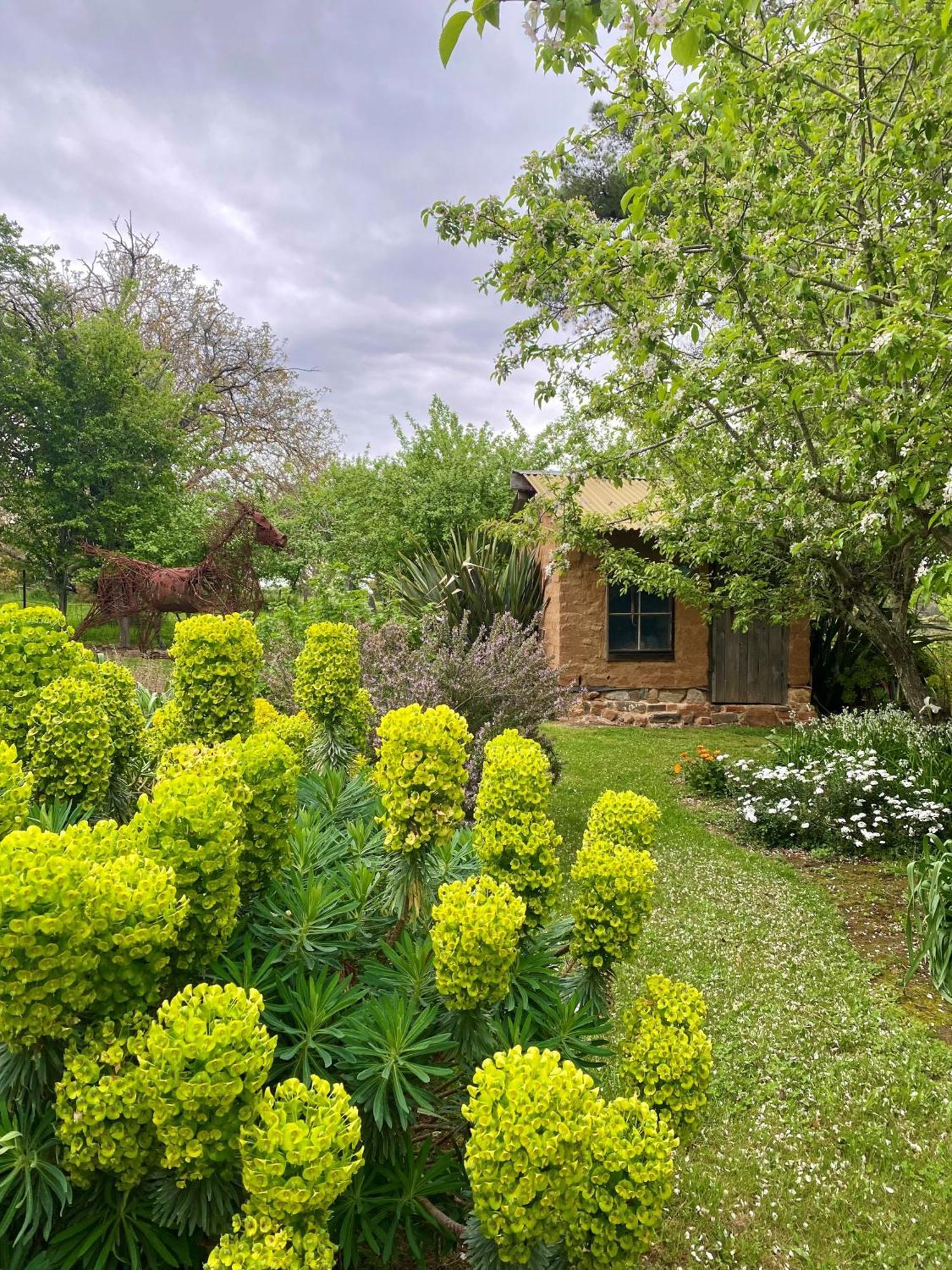 Sutton Spring Art Retreats Apartment Daylesford Exterior photo