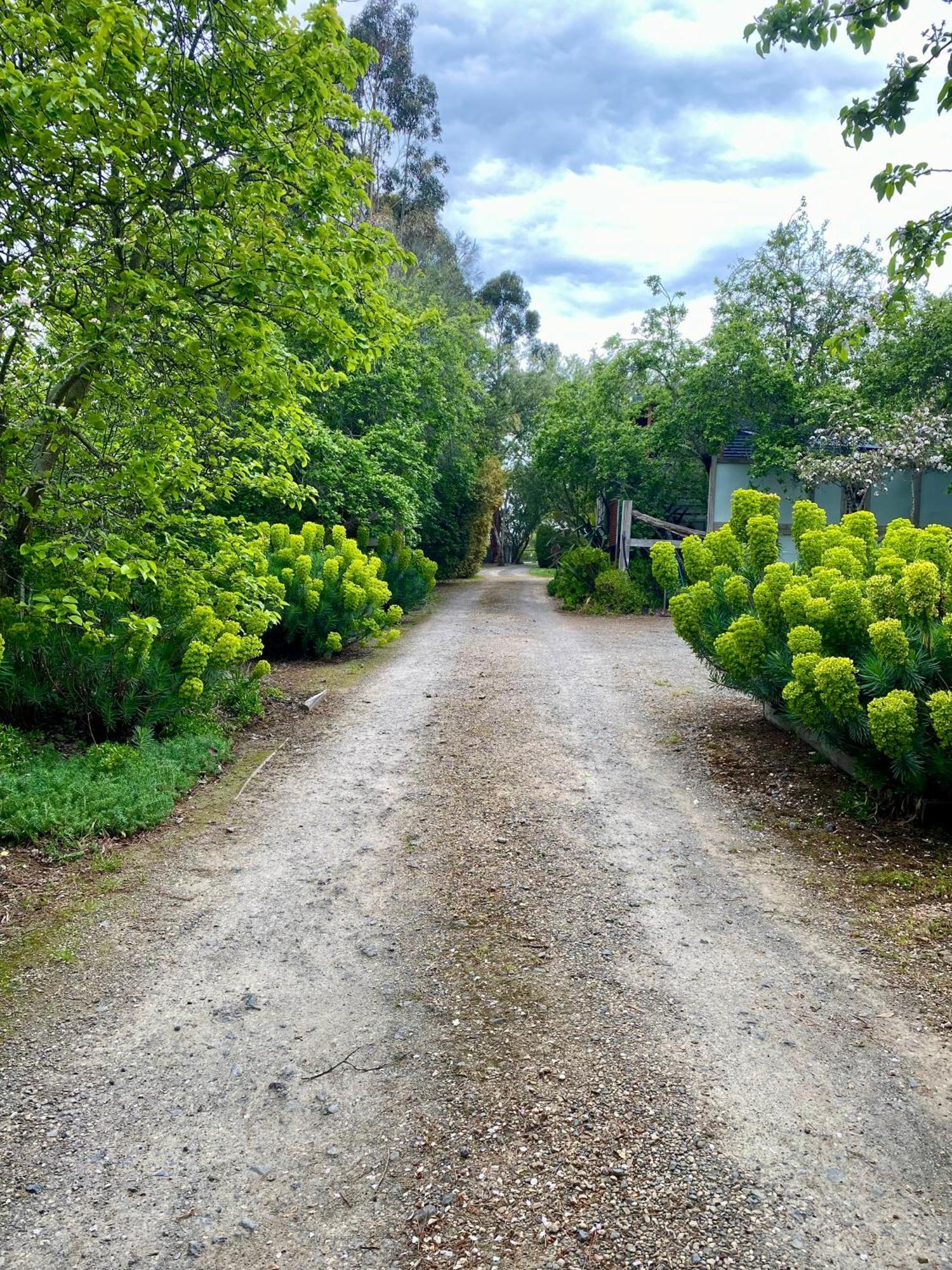 Sutton Spring Art Retreats Apartment Daylesford Exterior photo